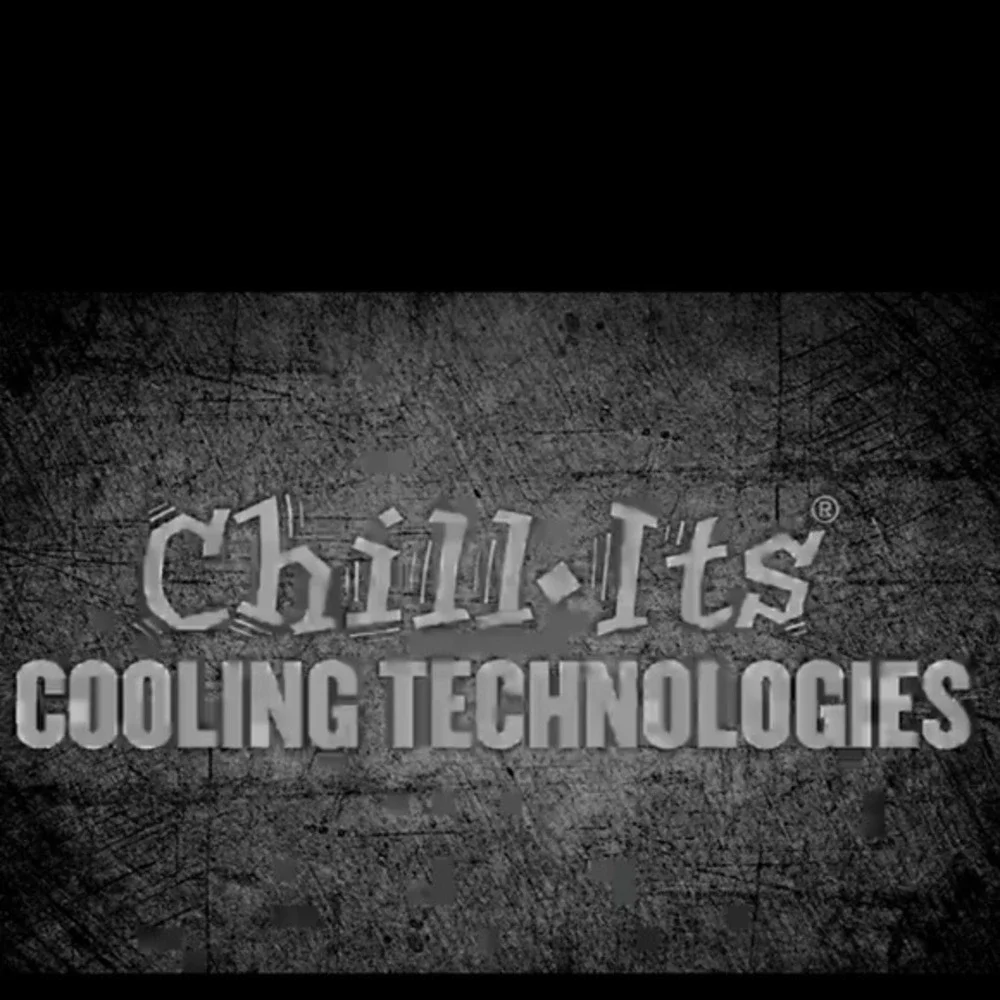 Ergodyne chill its
